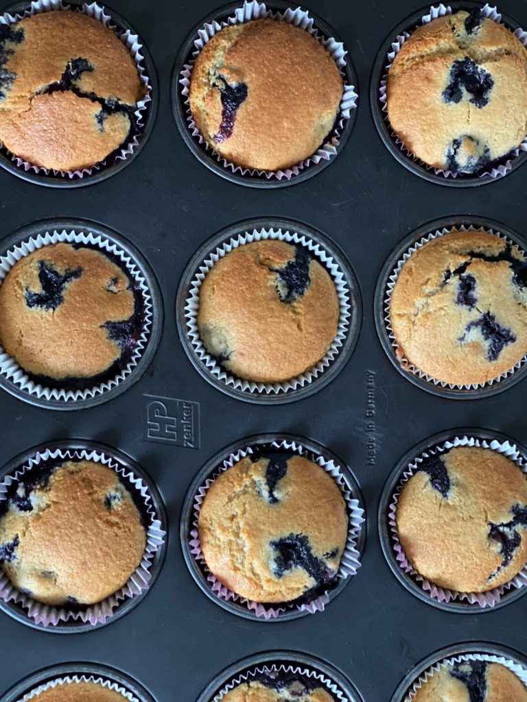 Blueberry muffins in baking tray