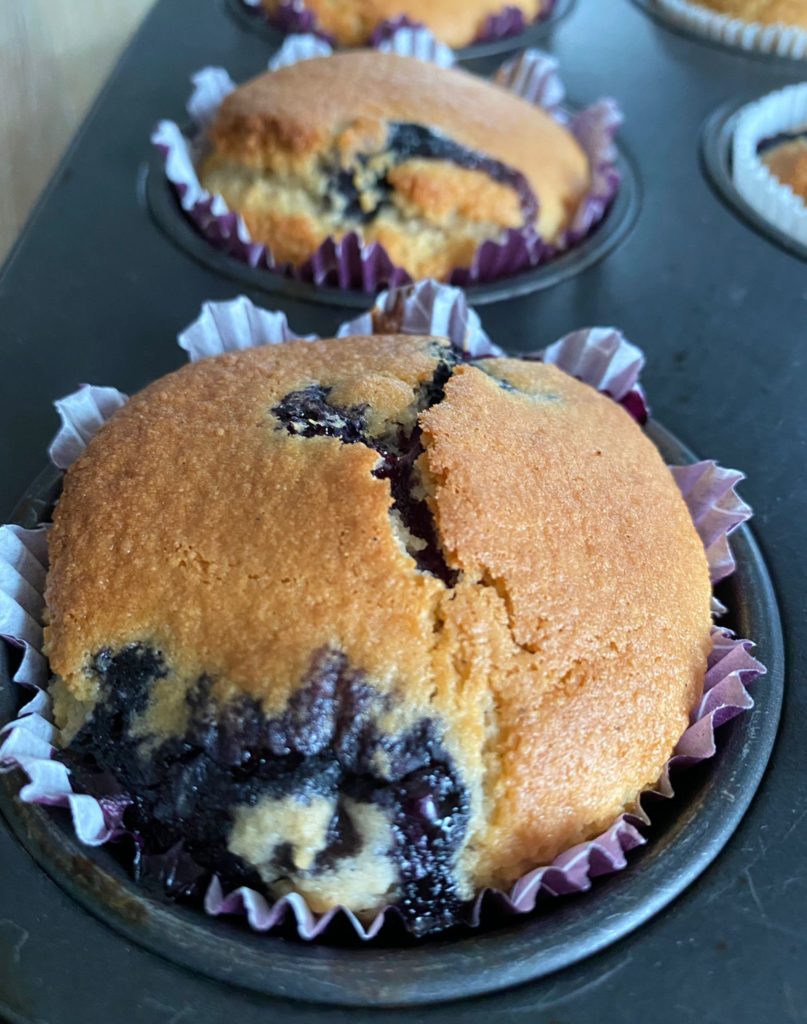 Blueberry muffins in baking tray closeup